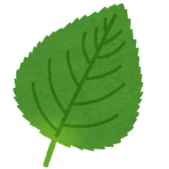 βーカロテン ・ 抗酸化物質