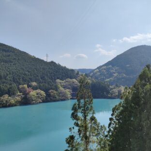 お金では買えない健康のために — えごまの葉の力を毎日の習慣に