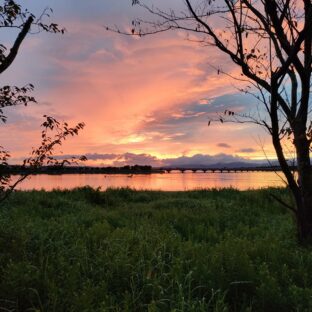 老後と健康を考えてみる