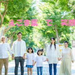 自然のやさしさをそのままに えごまの葉パウダーのちから