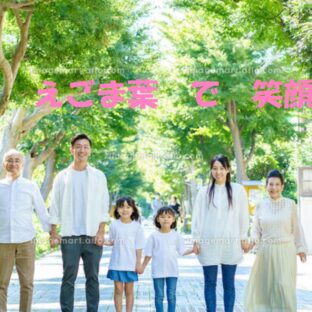 自然のやさしさをそのままに えごまの葉パウダーのちから